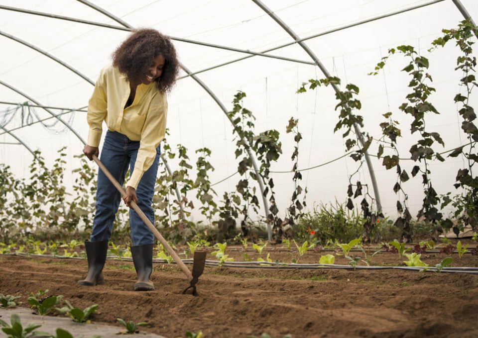 agri-tech agri-tech